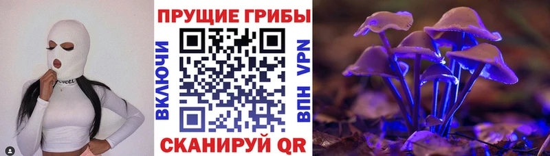 Галлюциногенные грибы мухоморы  Судак 